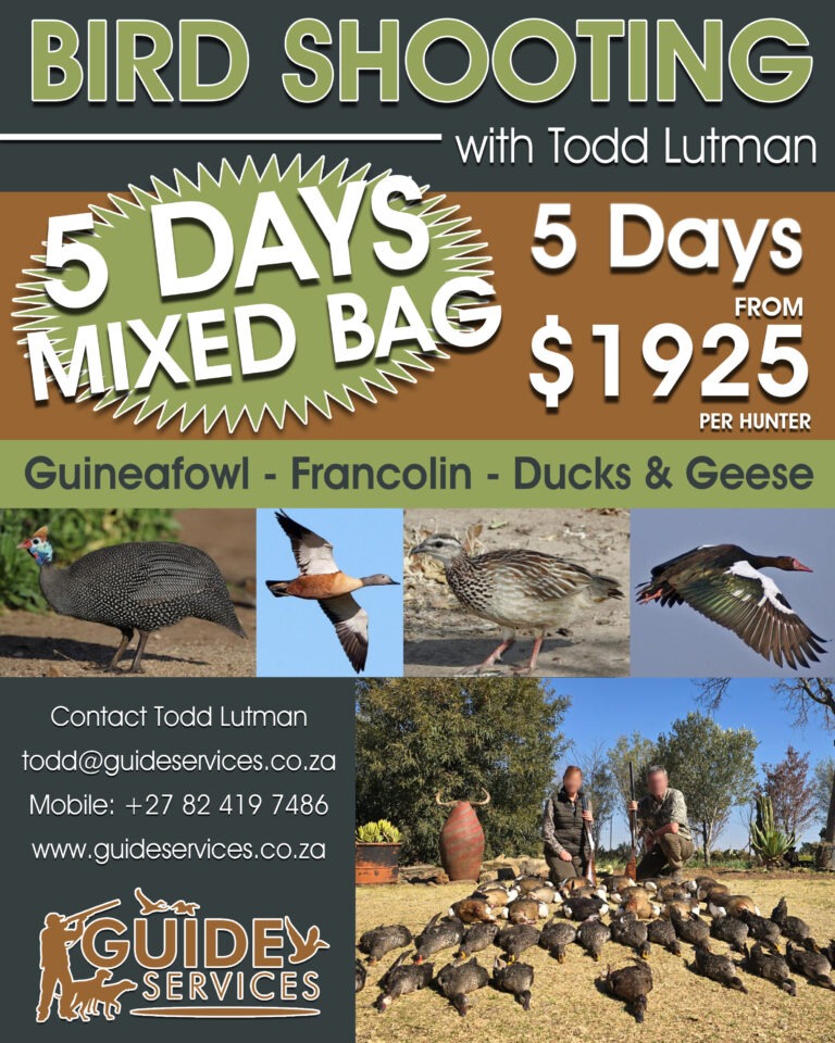 Guineafowl, Francolin, Ducks, geese