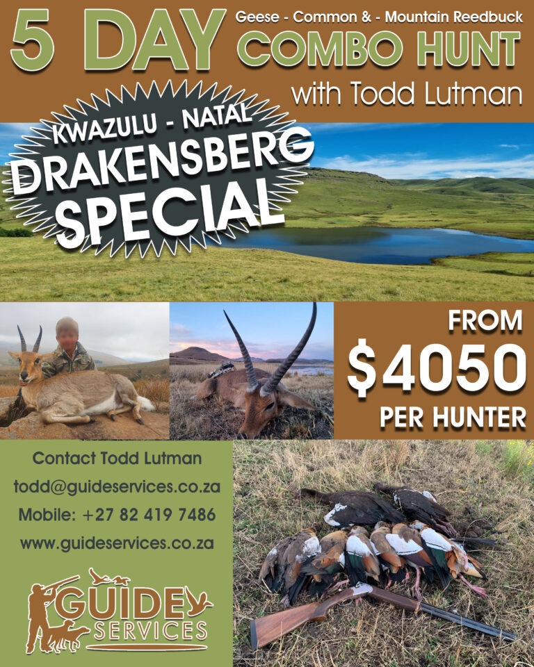 Geese, Common Reedbuck, Mountain Reedbuck, Drakensberg, KwaZulu Natal